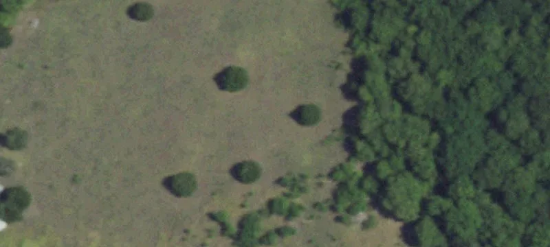 Acreage with Paved Road Frontage