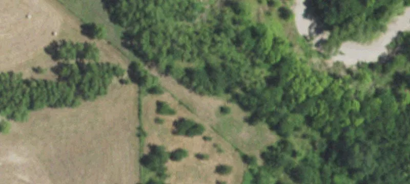 Wooded Recreational Land Tract