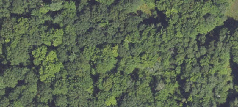 Wooded Resort Building Lots