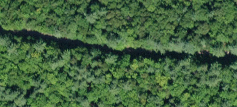 Wooded Residential Land with Road Access