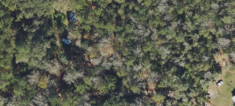 Wooded Residential Land Tract
