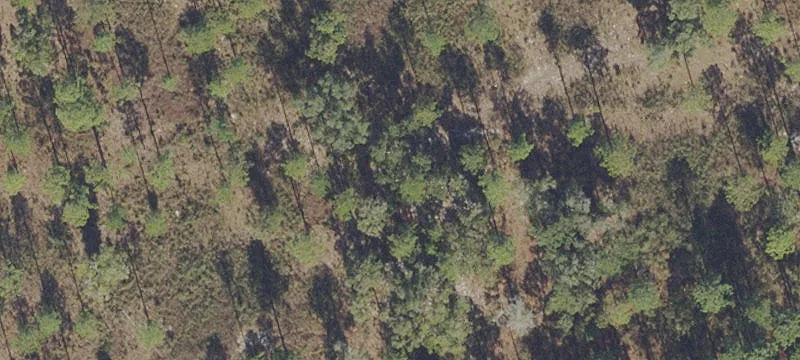 Agricultural Land Tract with Equestrian Use