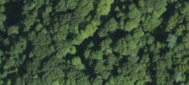 Wooded Residential Land Parcel