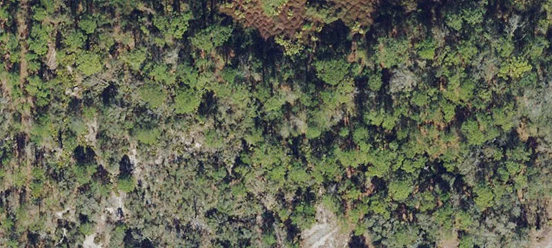 Wooded Residential Lot