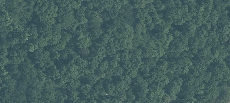 Recreational Farmland Parcel