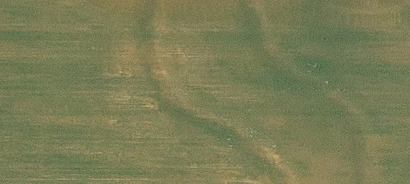 Productive Tillable Farmland Tract
