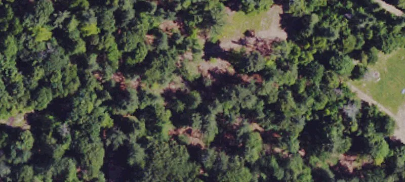 Remote Campground Cabin Retreat