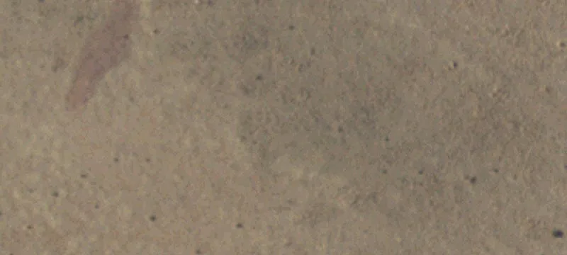 Rural Land Parcel