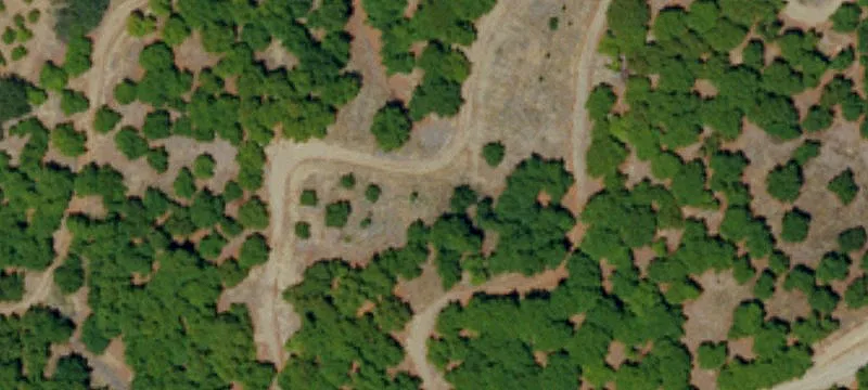 Farmland For Sale