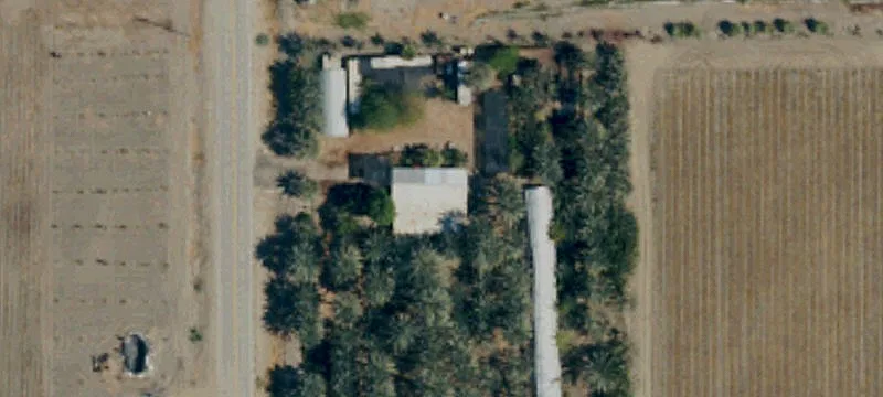 Productive Farmland with Date Palms