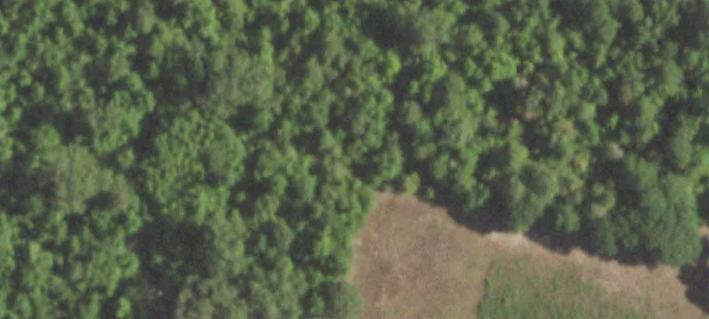 Agricultural Land with Mature Trees