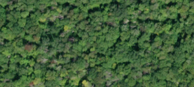 Residential Land Parcel with Road Frontage