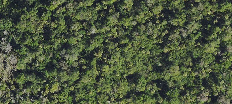 Estate Agricultural Land Parcel