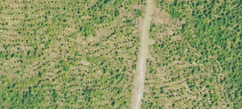 Residential Land Tract