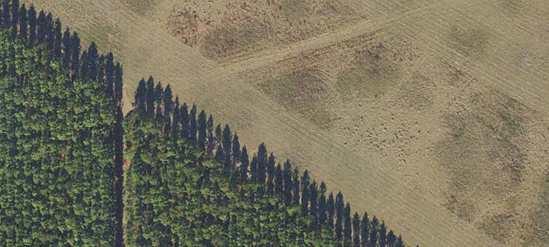 Aviation-Enabled Farm Estate