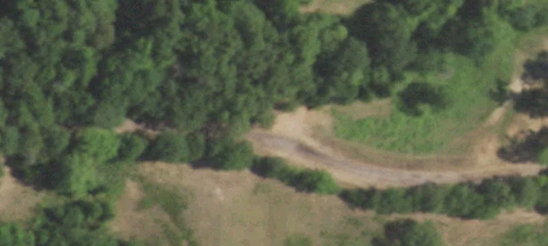 Timber Land with Pond and Sites