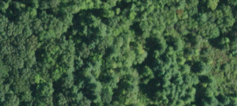 Specialty Land Parcel