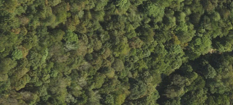 Residential Land Lot