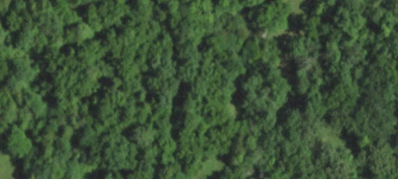 Cleared Residential Land with Timber