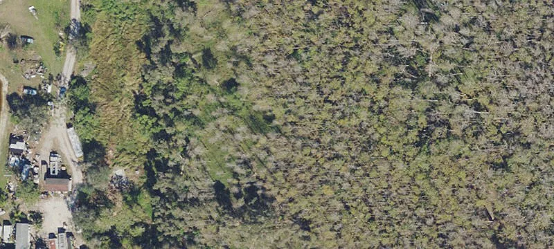 5-Acre Residential Land Parcel