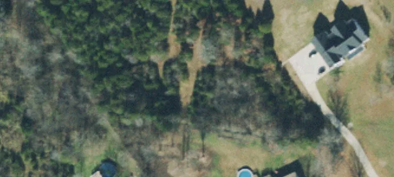 Residential Building Lot with Trees