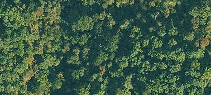 Agricultural Land Tract