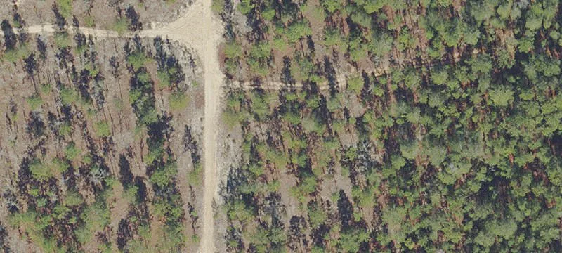 Residential Home Site Land