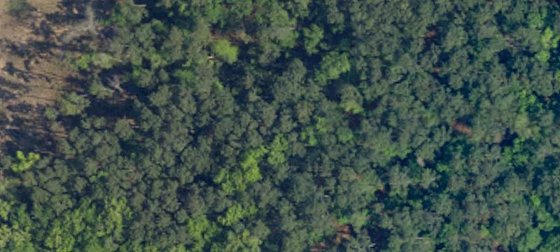 Wooded Waterfront Homesite
