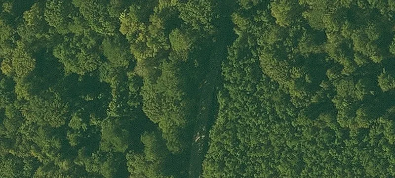 Country Homebuilding Lot