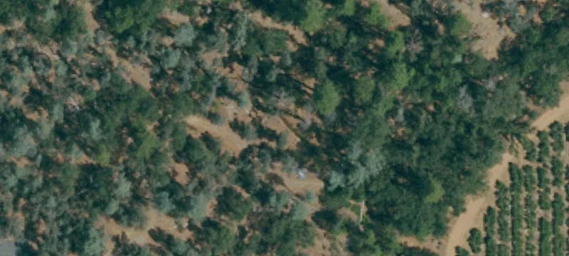 Agricultural Land Parcel