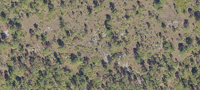 Fully Fenced Equestrian Land Acreage