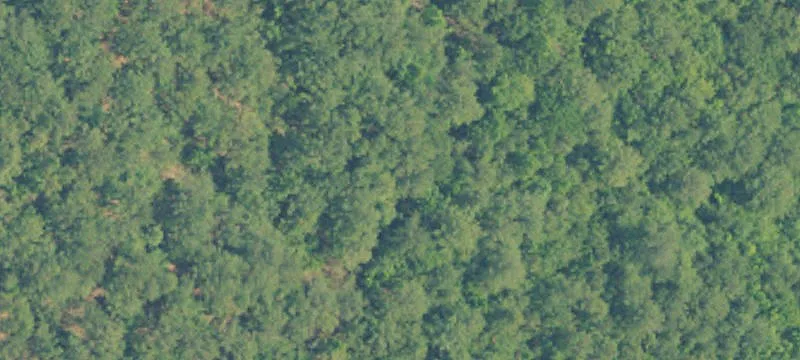 Hunting and Recreation Land