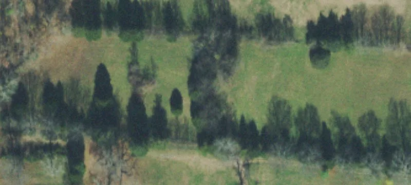 Cleared Residential Land with Trees