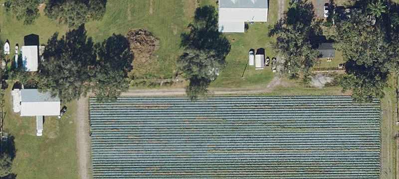 Operating Strawberry Farm Property