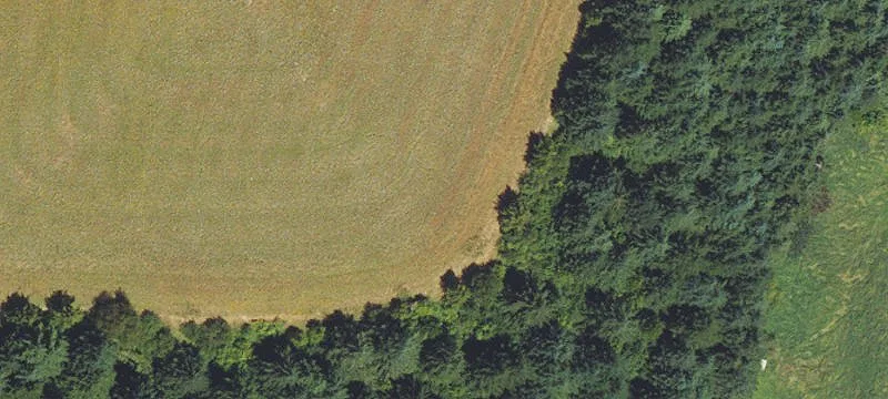 Timbered Development Land Parcel