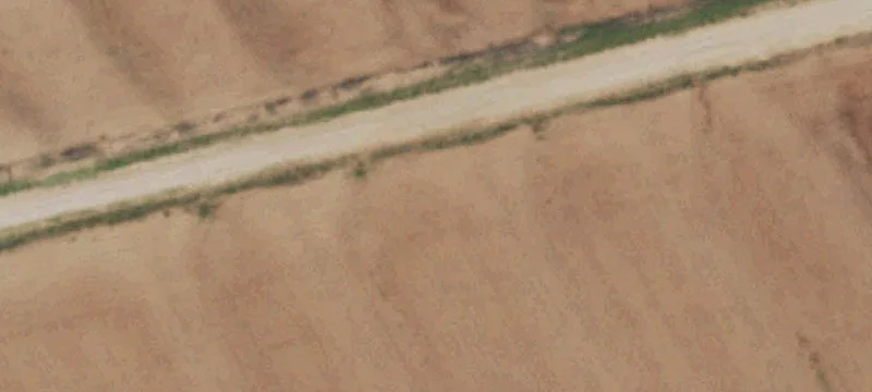 Pasture and Cultivated Farmland