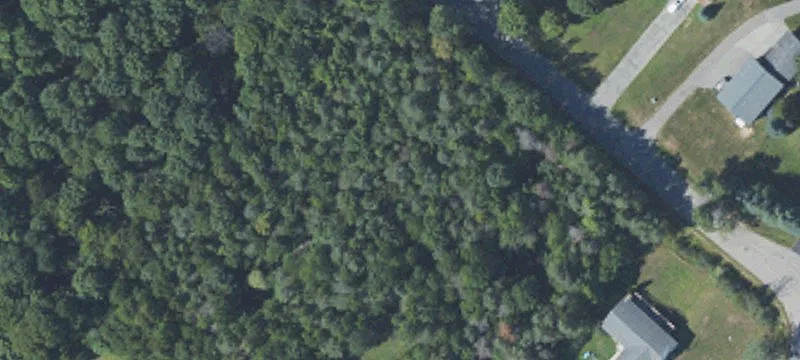 Wooded Residential Building Lot