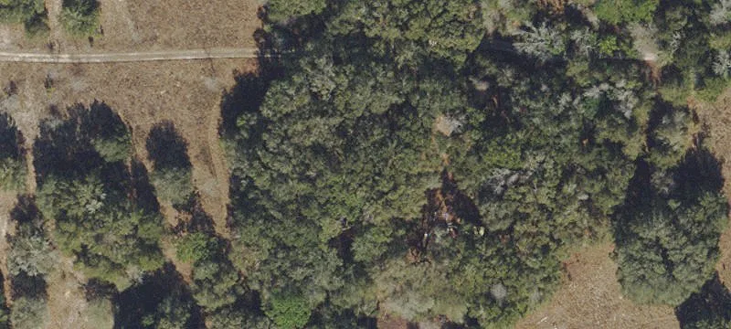 Vacant Multi-Lot Land Parcel