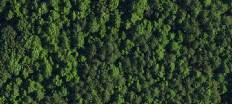 Waterfront Residential Land Parcel