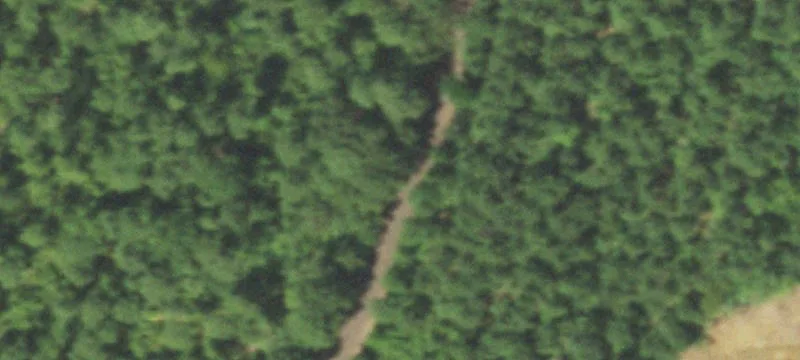 Ranch with Pasture and Timber