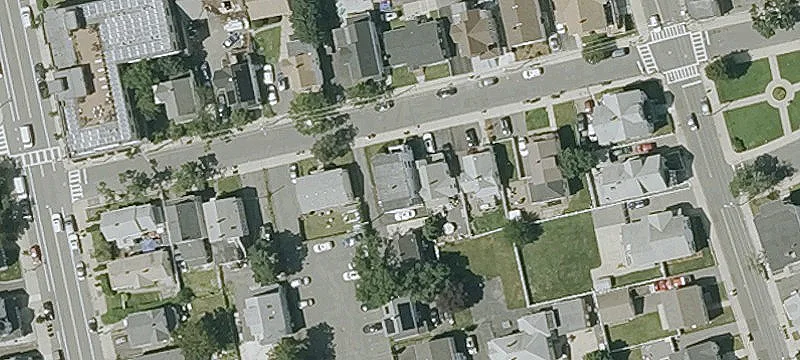 Three-Family Triple Decker