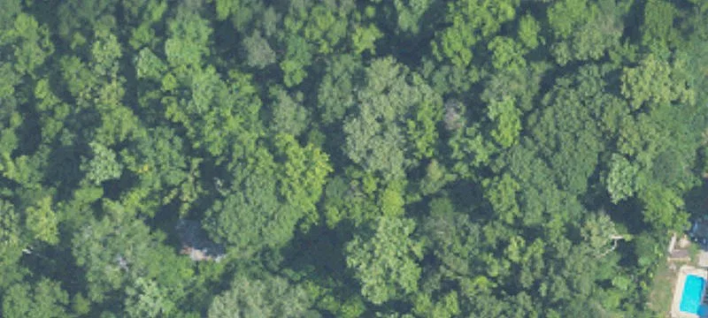 Wooded Residential Land Lot
