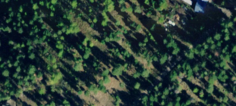 Montana Buildable Land Parcel