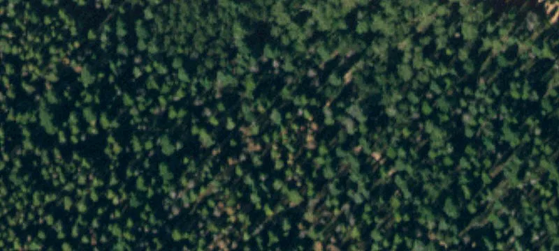 Gated Recreation Land Parcel