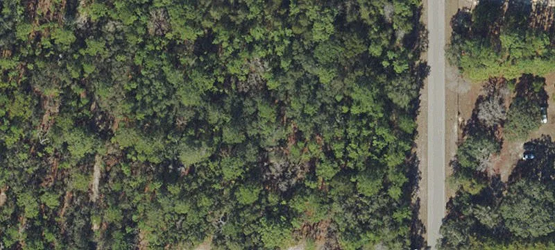 Wooded Residential Land Parcel