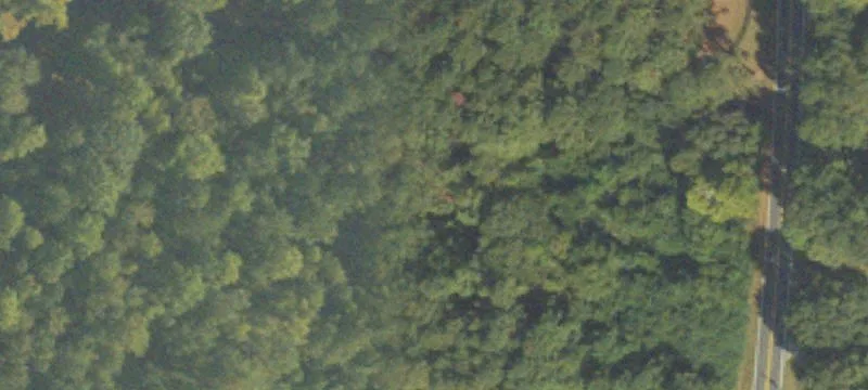 Recreational Hunting Land Tract