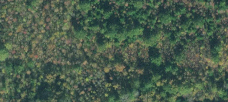 Agricultural Land For Sale