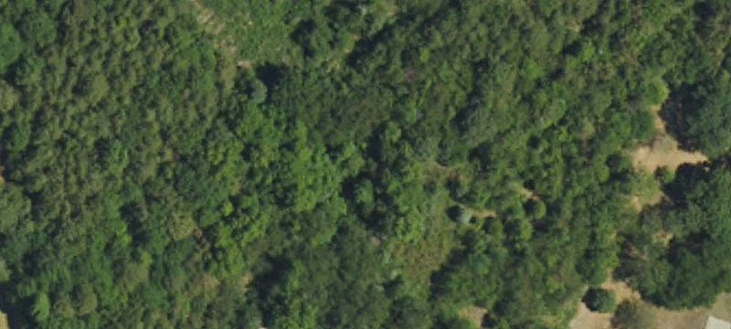 Residential Land with Perc Approval