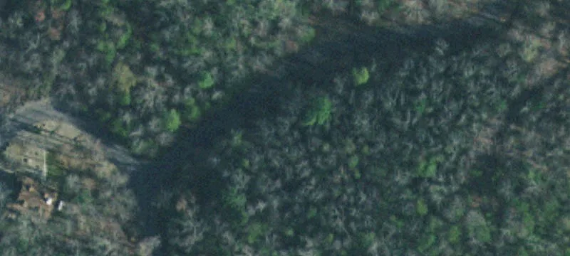 Residential Homesite with Road Frontage