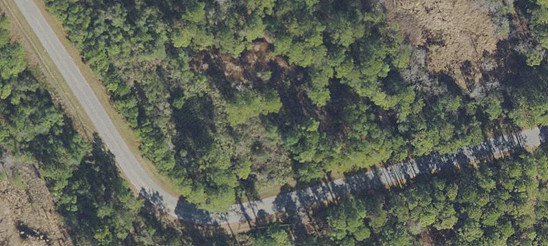 Partially Cleared Homesite Land